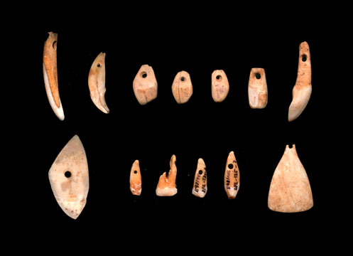 Schmuckanhänger aus durchbohrten Tier und Menschenzähnen