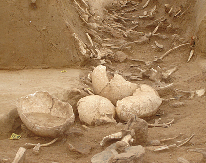 Vier Schdelkalotten in situ in Befund 9